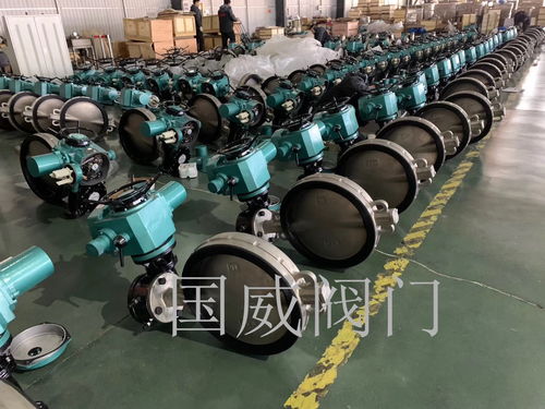 國威提醒,閥門公司應多注重品牌延伸發(fā)展問題